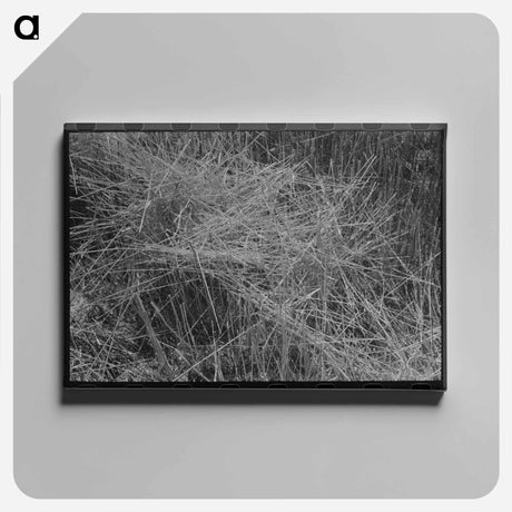 アートパネル-Stubble Field, Eureka Flats, Walla Walla County, Washington
 - ラッセル リー Canvas.