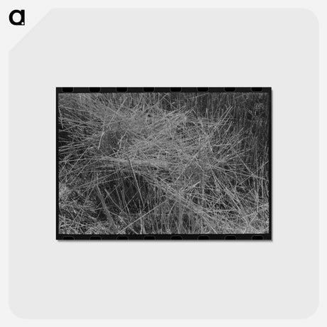 アートポストカード-Stubble Field, Eureka Flats, Walla Walla County, Washington
 - ラッセル リー Postcard.