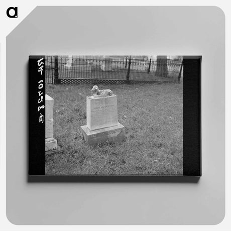 アートパネル-Tombstone near Shawneetown, Illinois
 - ラッセル リー Canvas.