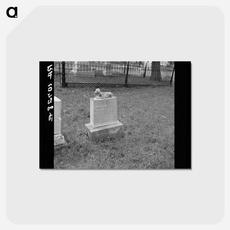 アートポストカード-Tombstone near Shawneetown, Illinois
 - ラッセル リー Postcard.