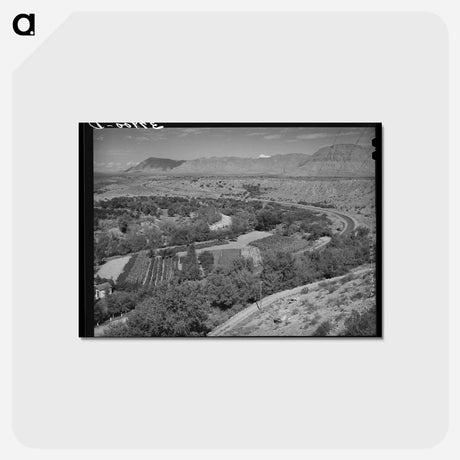 アートポストカード-Irrigated Farm, Santa Clara, Utah
 - ラッセル リー Postcard.
