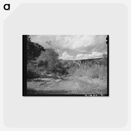 アートポストカード-Santa Clara River Irrigation, Santa Clara, Utah
 - ラッセル リー Postcard.