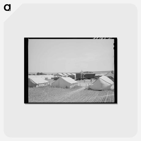 アートポストカード-Migratory Farm Labor Camp, Athena, Oregon
 - ラッセル リー Postcard.