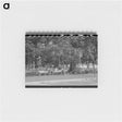 アートメモ帳-Picnickers' Park, Caldwell, Idaho
 - ラッセル リー Memo.