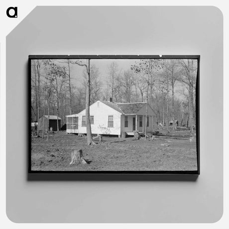 アートパネル-Farm Home, Chicot Farms, Arkansas
 - ラッセル リー Canvas.