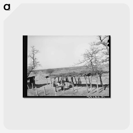 アートポストカード-Vegetable Stand, Pomp Hall Farm
 - ラッセル リー Postcard.