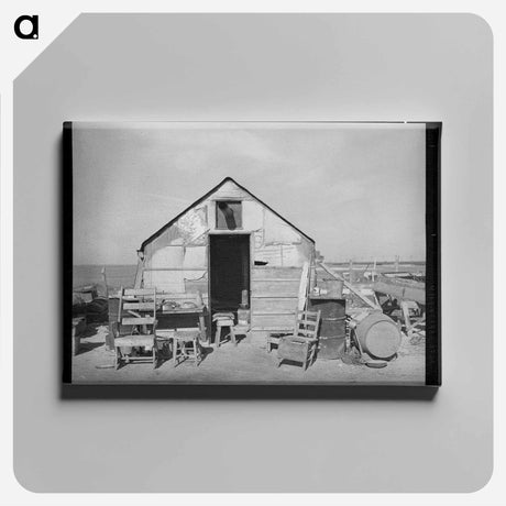 アートパネル-Home of Squatter on Nueces Bay, Corpus Christi, Texas
 - ラッセル リー Canvas.
