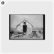 アートポストカード-Home of Squatter on Nueces Bay, Corpus Christi, Texas
 - ラッセル リー Postcard.
