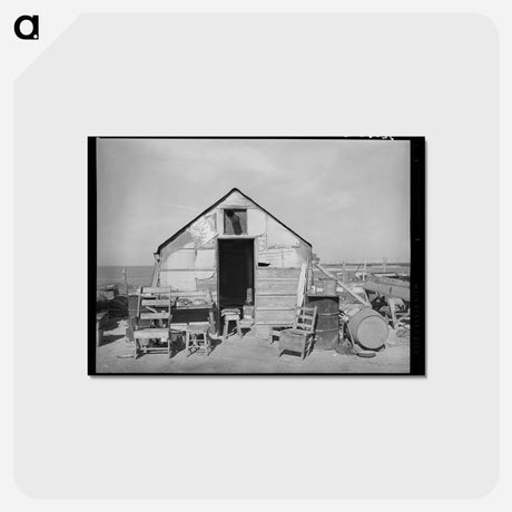 アートポストカード-Home of Squatter on Nueces Bay, Corpus Christi, Texas
 - ラッセル リー Postcard.