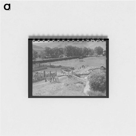 アートメモ帳-Driving Fat Lambs to Shipping Corrals, Cimarron, Colorado
 - ラッセル リー Memo.