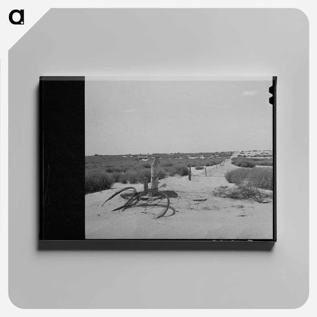 アートパネル-Barbed Wire and Tumbleweed
 - ラッセル リー Canvas.