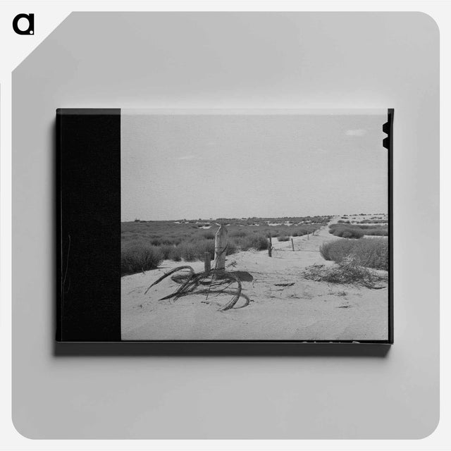 アートパネル-Barbed Wire and Tumbleweed
 - ラッセル リー Canvas.