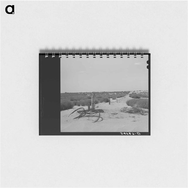 アートメモ帳-Barbed Wire and Tumbleweed
 - ラッセル リー Memo.