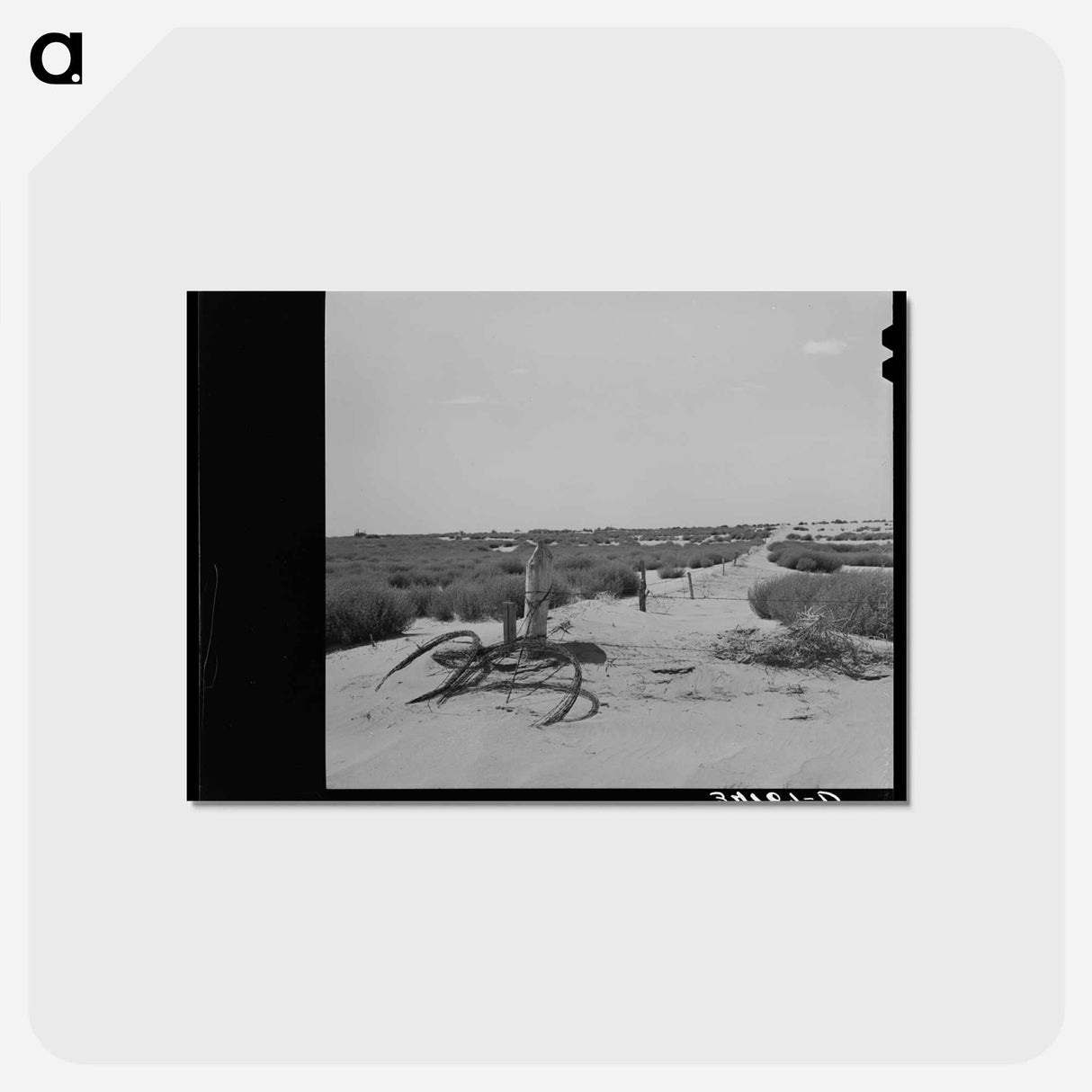 アートポストカード-Barbed Wire and Tumbleweed
 - ラッセル リー Postcard.