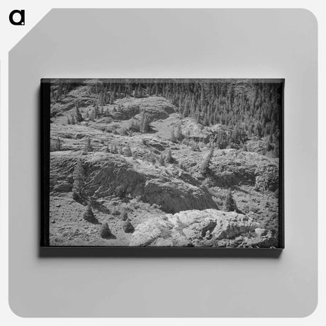 アートパネル-Uncompahgre River Valley, Ouray County, Colorado
 - ラッセル リー Canvas.