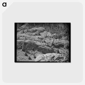 アートポストカード-Uncompahgre River Valley, Ouray County, Colorado
 - ラッセル リー Postcard.