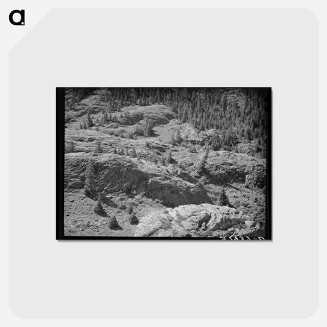 アートポストカード-Uncompahgre River Valley, Ouray County, Colorado
 - ラッセル リー Postcard.