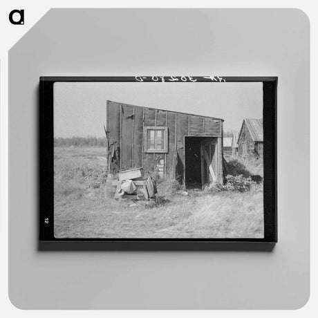 アートパネル-Tarpaper Dwelling, Gemmel, Minnesota
 - ラッセル リー Canvas.