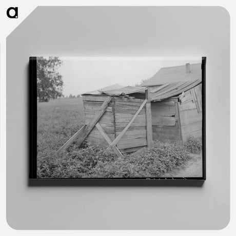 アートパネル-Sheds on Sharecropper's Farm, Southeast Missouri
 - ラッセル リー Canvas.