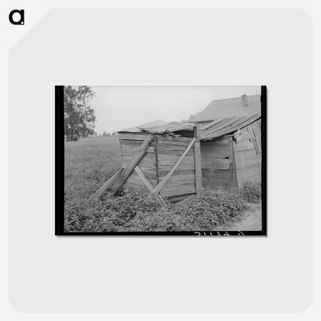 アートポストカード-Sheds on Sharecropper's Farm, Southeast Missouri
 - ラッセル リー Postcard.
