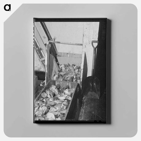 アートパネル-Salmon Heads and Tails, Columbia River Packing Association
 - ラッセル リー Canvas.