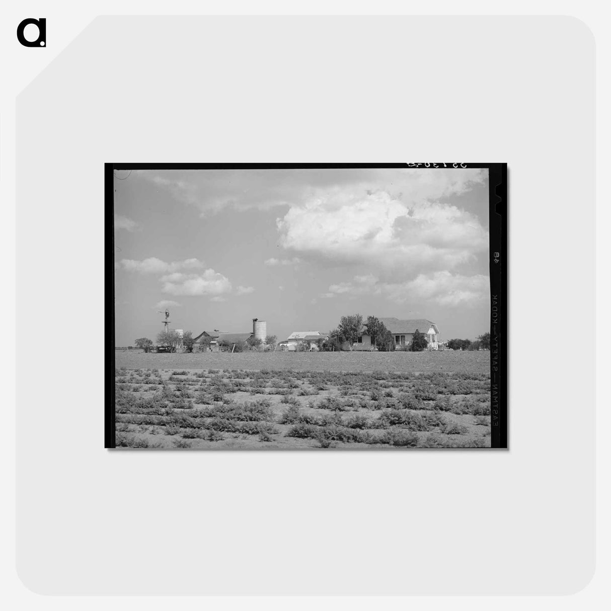 アートポストカード-Farmstead in Travis County, Texas
 - ラッセル リー Postcard.
