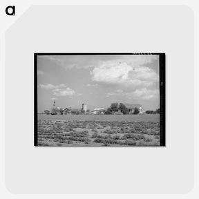 アートポストカード-Farmstead in Travis County, Texas
 - ラッセル リー Postcard.