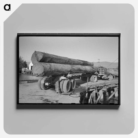 アートパネル-Logs on Truck Arriving at Pond, Tillamook, Oregon
 - ラッセル リー Canvas.