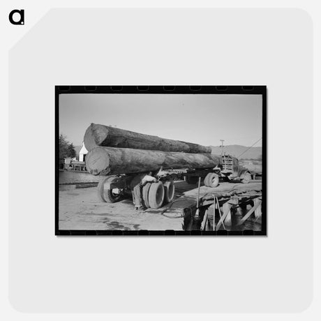 アートポストカード-Logs on Truck Arriving at Pond, Tillamook, Oregon
 - ラッセル リー Postcard.