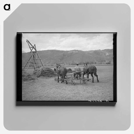 アートパネル-Hay Pusher, Uncompahgre River Valley
 - ラッセル リー Canvas.