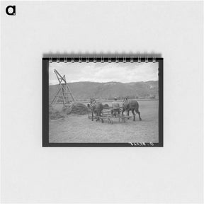 アートメモ帳-Hay Pusher, Uncompahgre River Valley
 - ラッセル リー Memo.