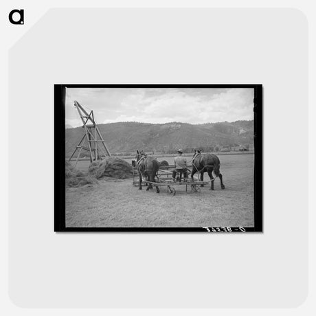 アートポストカード-Hay Pusher, Uncompahgre River Valley
 - ラッセル リー Postcard.
