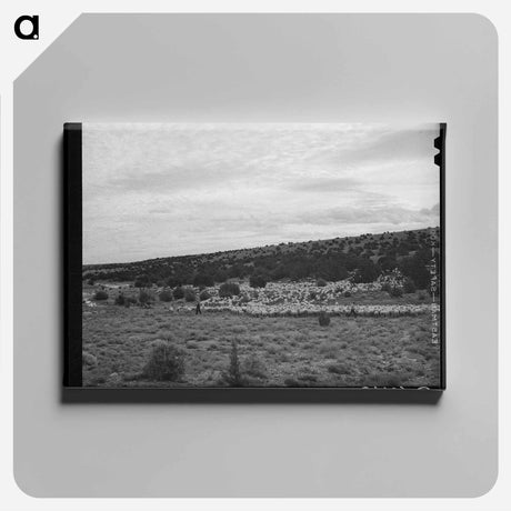 アートパネル-The Candelarias, Sheep Operators at Concho, Arizona
 - ラッセル リー Canvas.