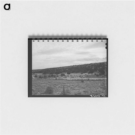 アートメモ帳-The Candelarias, Sheep Operators at Concho, Arizona
 - ラッセル リー Memo.