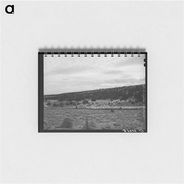 アートメモ帳-The Candelarias, Sheep Operators at Concho, Arizona
 - ラッセル リー Memo.