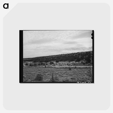 アートポストカード-The Candelarias, Sheep Operators at Concho, Arizona
 - ラッセル リー Postcard.
