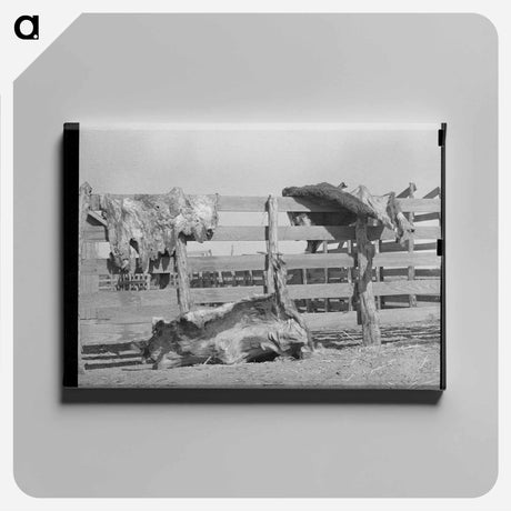アートパネル-Cattle Hides on Corral Fence, Spur, Texas
 - ラッセル リー Canvas.