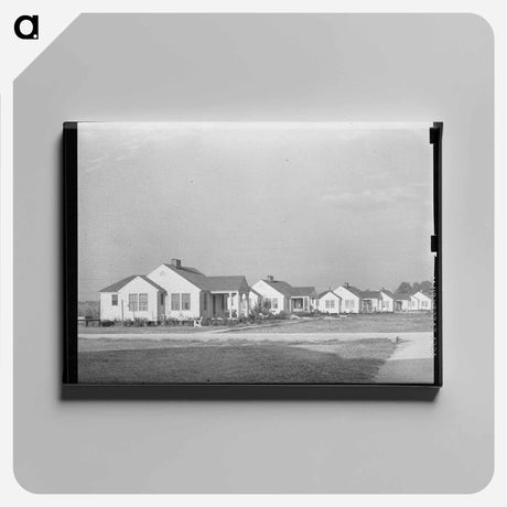 アートパネル-Types of Houses, Lake Dick Project, Arkansas
 - ラッセル リー Canvas.