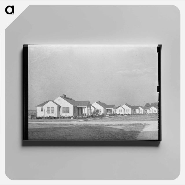 アートパネル-Types of Houses, Lake Dick Project, Arkansas
 - ラッセル リー Canvas.