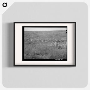 アートポスター-Baca County Grassland
 - ラッセル リー Poster.