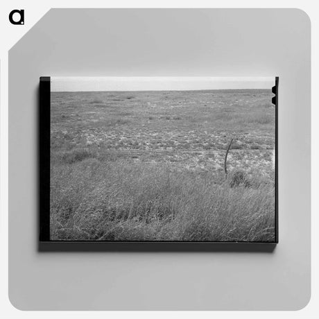 アートパネル-Baca County Grassland
 - ラッセル リー Canvas.