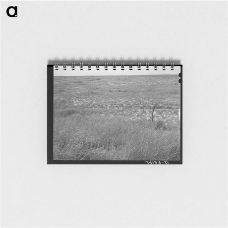 アートメモ帳-Baca County Grassland
 - ラッセル リー Memo.