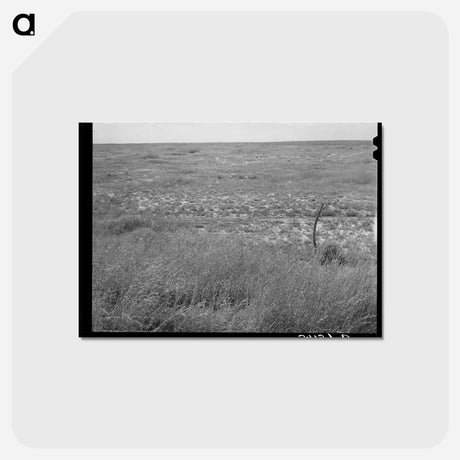 アートポストカード-Baca County Grassland
 - ラッセル リー Postcard.