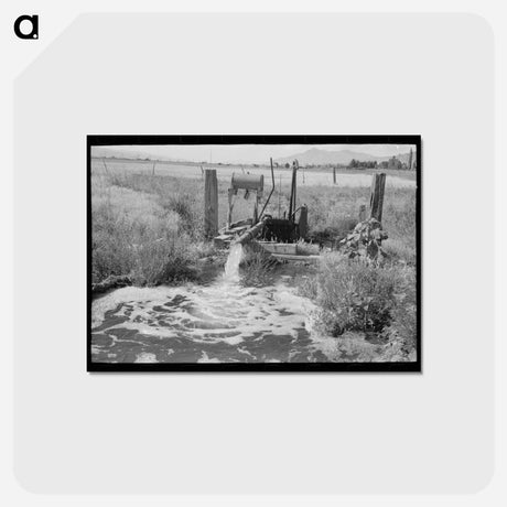 アートポストカード-Irrigation, Box Elder County, Utah
 - ラッセル リー Postcard.