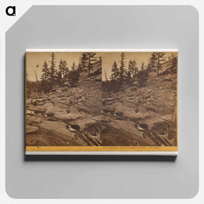 アートパネル-Yosemite Creek at Summit of Falls
 - エドワード マイブリッジ Canvas.