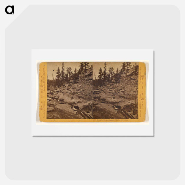アートポストカード-Yosemite Creek at Summit of Falls
 - エドワード マイブリッジ Postcard.