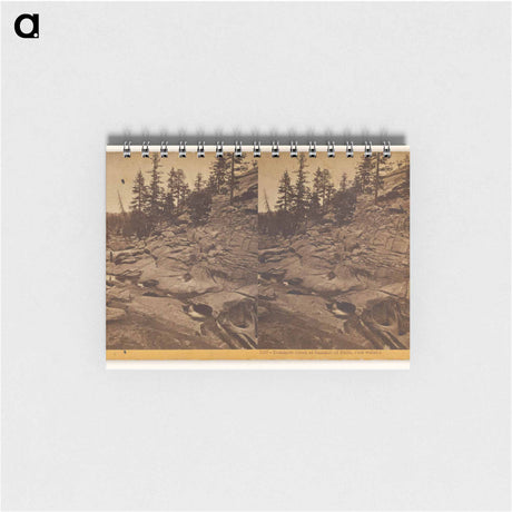 アートメモ帳-Yosemite Creek at Summit of Falls
 - エドワード マイブリッジ Memo.