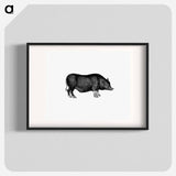 アートポスター-Pig from On the Domesticated Animals of the British Islands
 - 大英図書館 Poster.