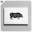アートパネル-Pig from On the Domesticated Animals of the British Islands
 - 大英図書館 Canvas.