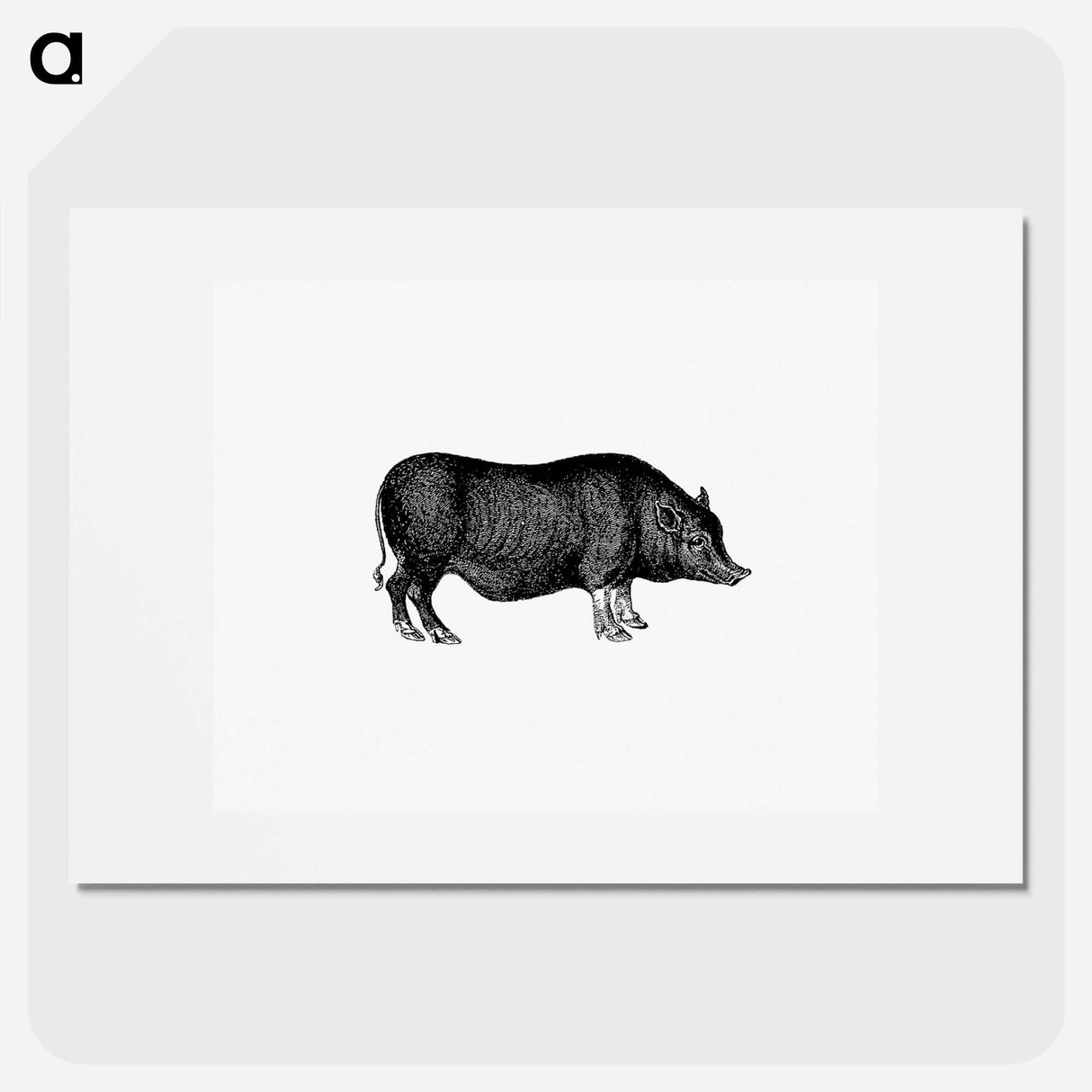 アートポスター-Pig from On the Domesticated Animals of the British Islands
 - 大英図書館 Poster.